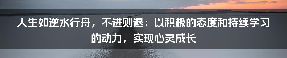 人生如逆水行舟，不进则退：以积极的态度和持续学习的动力，实现心灵成长