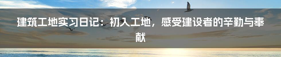 建筑工地实习日记：初入工地，感受建设者的辛勤与奉献