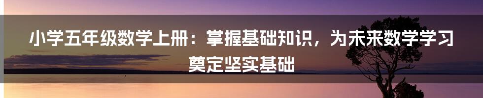 小学五年级数学上册：掌握基础知识，为未来数学学习奠定坚实基础