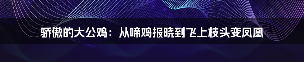 骄傲的大公鸡：从啼鸡报晓到飞上枝头变凤凰