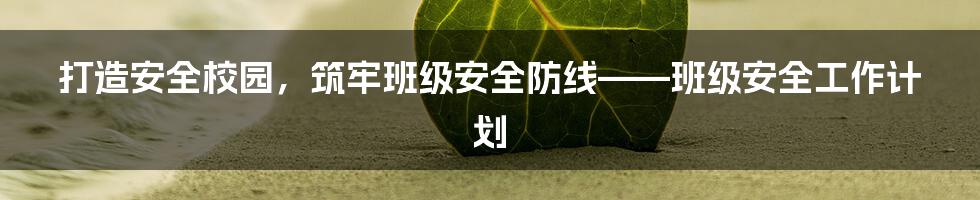 打造安全校园，筑牢班级安全防线——班级安全工作计划