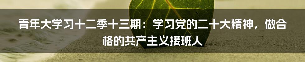 青年大学习十二季十三期：学习党的二十大精神，做合格的共产主义接班人