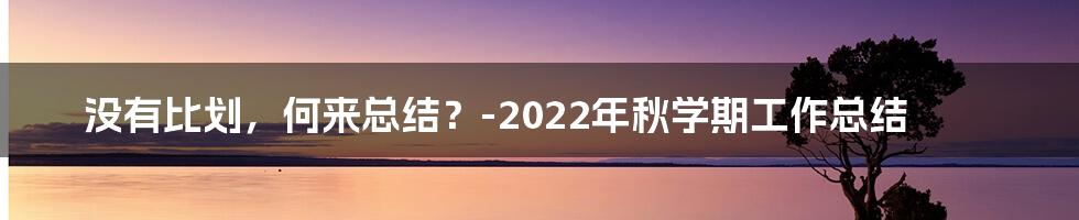 没有比划，何来总结？-2022年秋学期工作总结