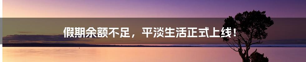 假期余额不足，平淡生活正式上线！