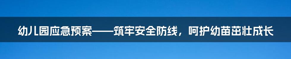 幼儿园应急预案——筑牢安全防线，呵护幼苗茁壮成长