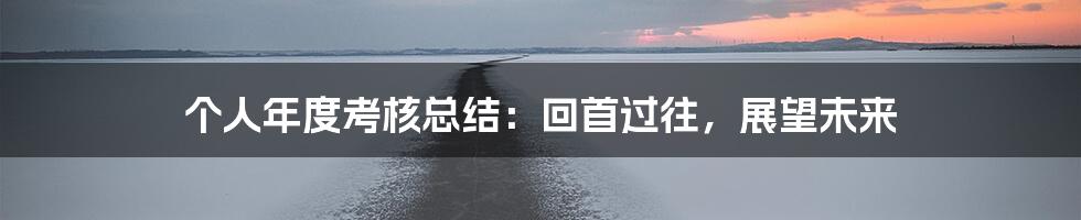 个人年度考核总结：回首过往，展望未来