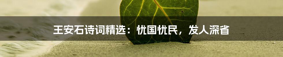 王安石诗词精选：忧国忧民，发人深省