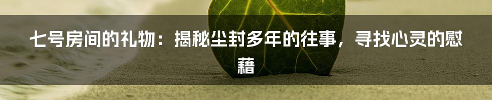 七号房间的礼物：揭秘尘封多年的往事，寻找心灵的慰藉