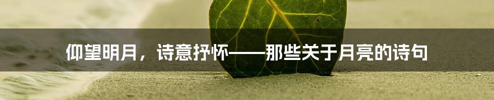 仰望明月，诗意抒怀——那些关于月亮的诗句