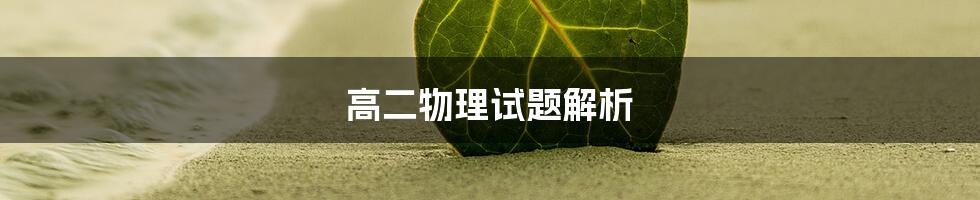 高二物理试题解析