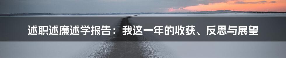 述职述廉述学报告：我这一年的收获、反思与展望