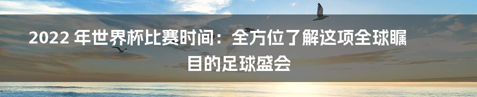 2022 年世界杯比赛时间：全方位了解这项全球瞩目的足球盛会