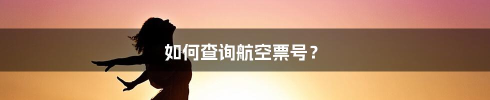 如何查询航空票号？