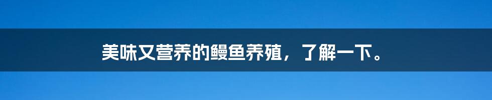 美味又营养的鳗鱼养殖，了解一下。