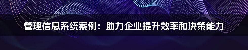 管理信息系统案例：助力企业提升效率和决策能力