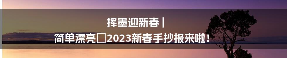 挥墨迎新春 | 简单漂亮の2023新春手抄报来啦！