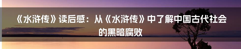 《水浒传》读后感：从《水浒传》中了解中国古代社会的黑暗腐败