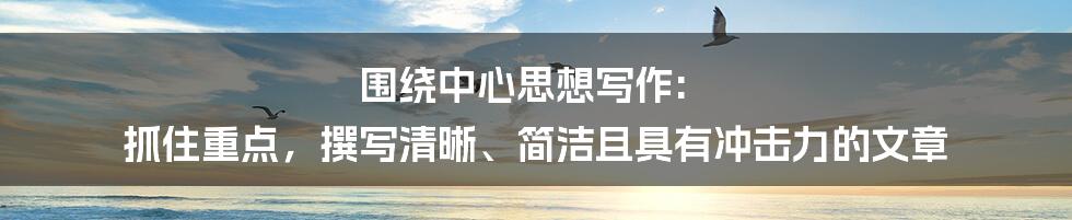 围绕中心思想写作: 抓住重点，撰写清晰、简洁且具有冲击力的文章