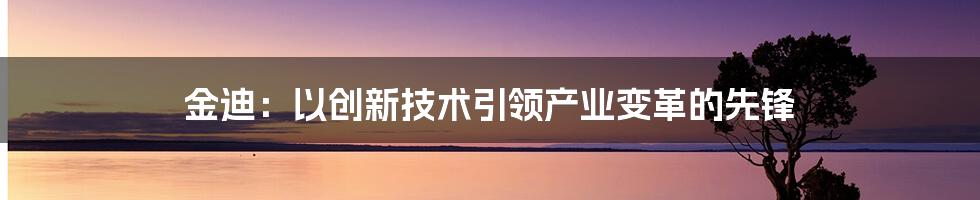 金迪：以创新技术引领产业变革的先锋