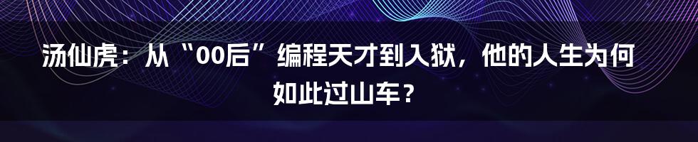 汤仙虎：从“00后”编程天才到入狱，他的人生为何如此过山车？