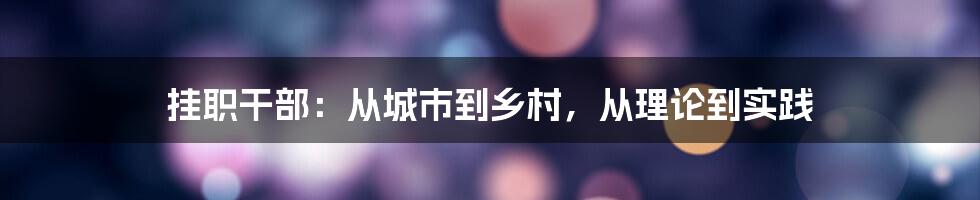 挂职干部：从城市到乡村，从理论到实践