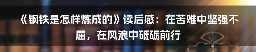 《钢铁是怎样炼成的》读后感：在苦难中坚强不屈，在风浪中砥砺前行