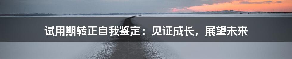 试用期转正自我鉴定：见证成长，展望未来