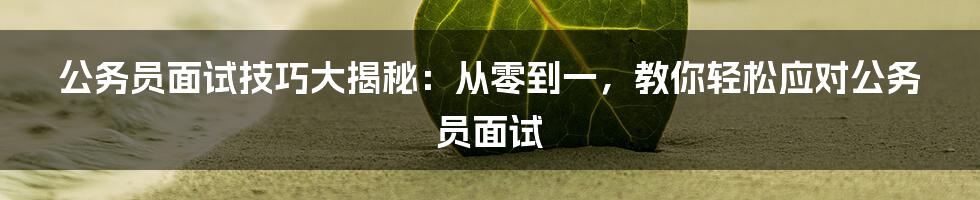 公务员面试技巧大揭秘：从零到一，教你轻松应对公务员面试