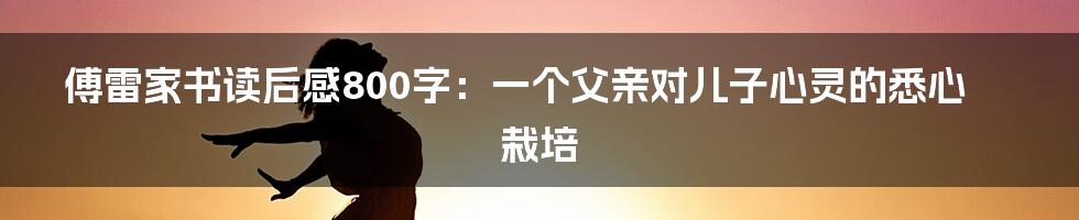 傅雷家书读后感800字：一个父亲对儿子心灵的悉心栽培