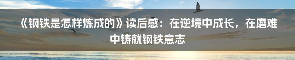 《钢铁是怎样炼成的》读后感：在逆境中成长，在磨难中铸就钢铁意志