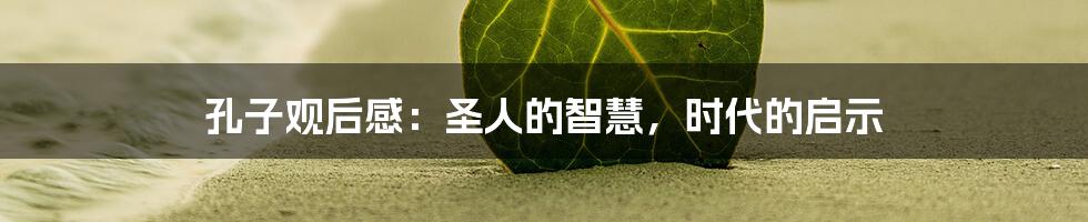 孔子观后感：圣人的智慧，时代的启示