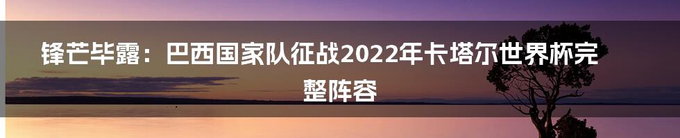 锋芒毕露：巴西国家队征战2022年卡塔尔世界杯完整阵容