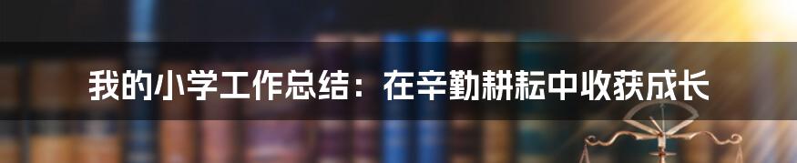 我的小学工作总结：在辛勤耕耘中收获成长