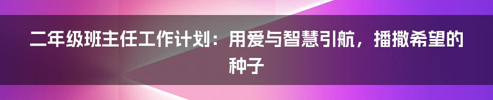 二年级班主任工作计划：用爱与智慧引航，播撒希望的种子