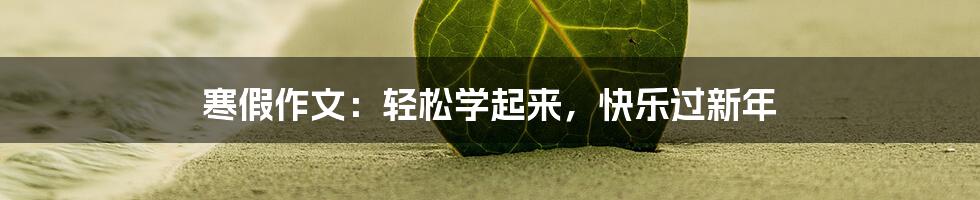 寒假作文：轻松学起来，快乐过新年