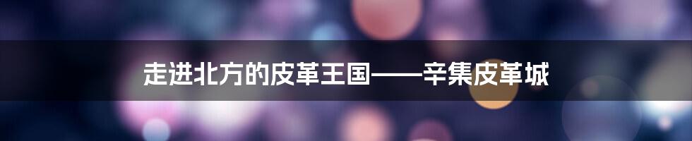 走进北方的皮革王国——辛集皮革城