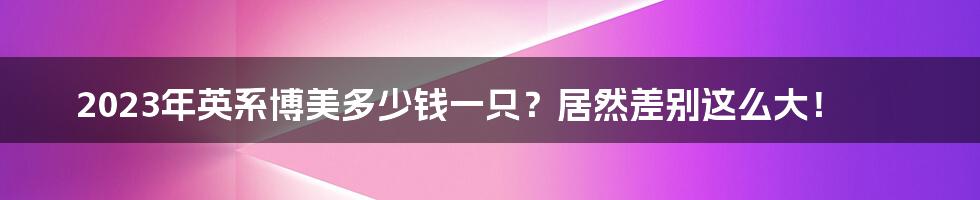 2023年英系博美多少钱一只？居然差别这么大！