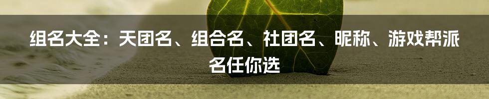 组名大全：天团名、组合名、社团名、昵称、游戏帮派名任你选