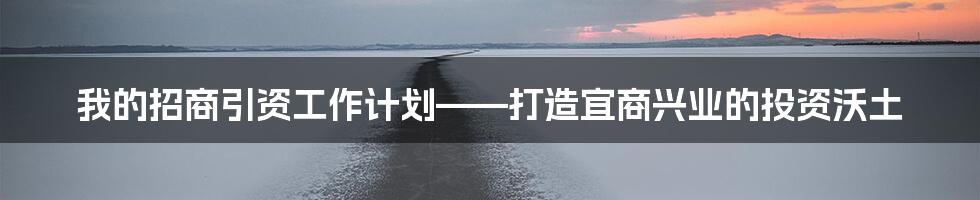 我的招商引资工作计划——打造宜商兴业的投资沃土