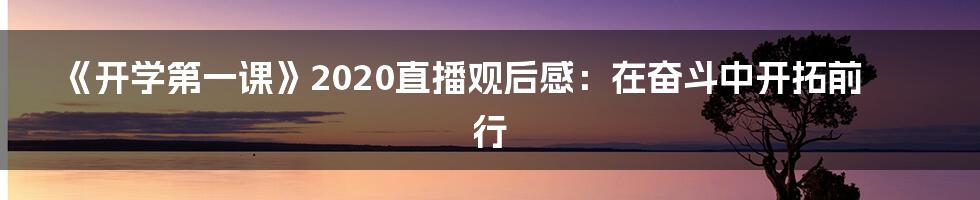 《开学第一课》2020直播观后感：在奋斗中开拓前行