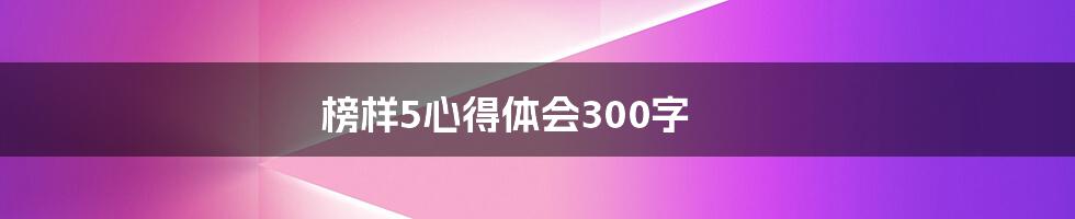 榜样5心得体会300字