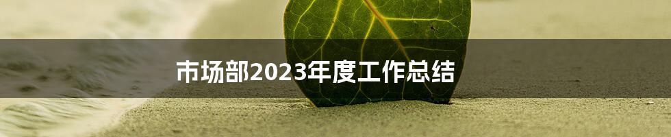 市场部2023年度工作总结