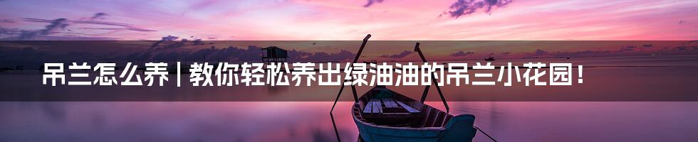 吊兰怎么养 | 教你轻松养出绿油油的吊兰小花园！