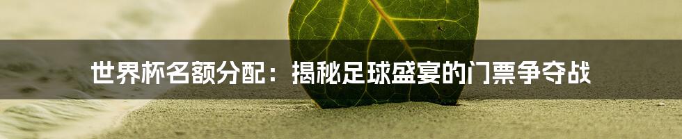 世界杯名额分配：揭秘足球盛宴的门票争夺战