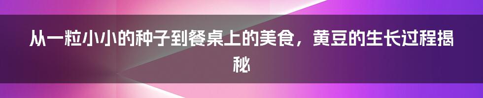 从一粒小小的种子到餐桌上的美食，黄豆的生长过程揭秘