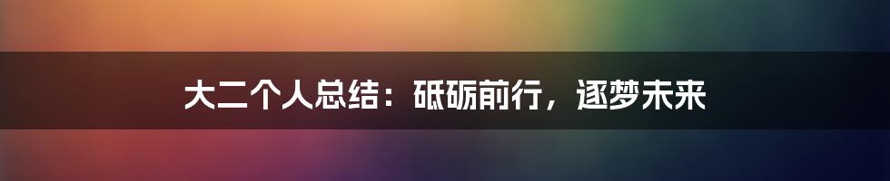 大二个人总结：砥砺前行，逐梦未来