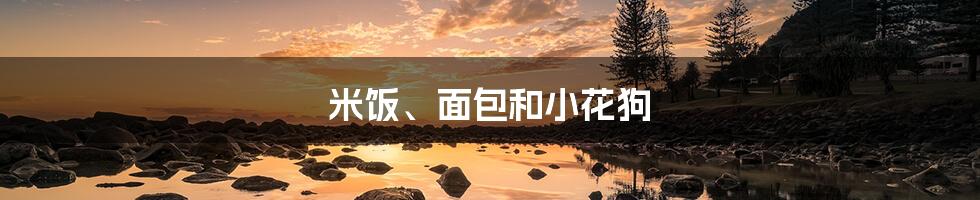 米饭、面包和小花狗