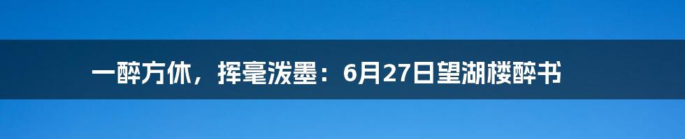 一醉方休，挥毫泼墨：6月27日望湖楼醉书