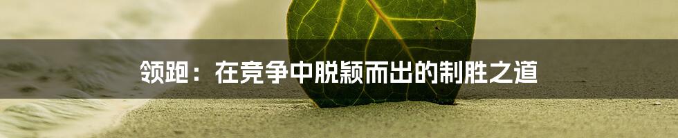 领跑：在竞争中脱颖而出的制胜之道