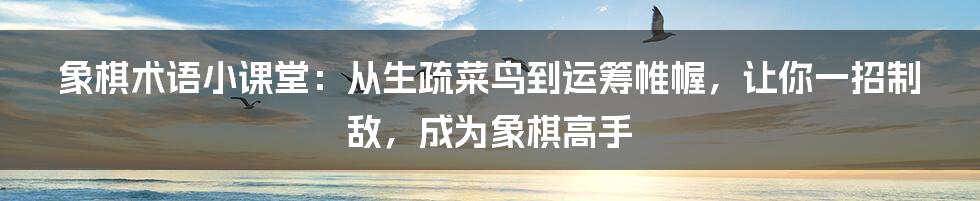 象棋术语小课堂：从生疏菜鸟到运筹帷幄，让你一招制敌，成为象棋高手